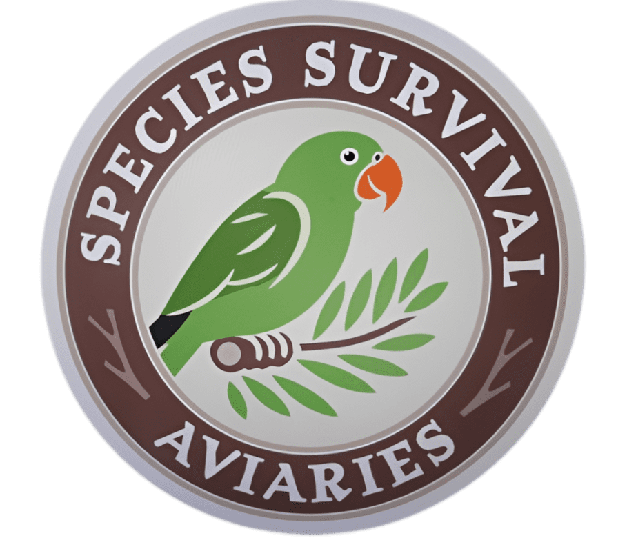 69cd320451092_DSC02550 (1) (1)